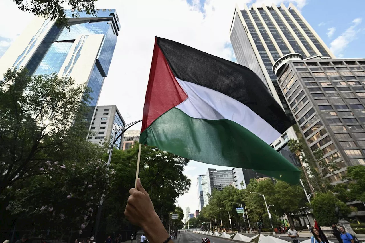 Le drapeau palestinien, emblème de la résistance pour les uns, du terrorisme pour les autres