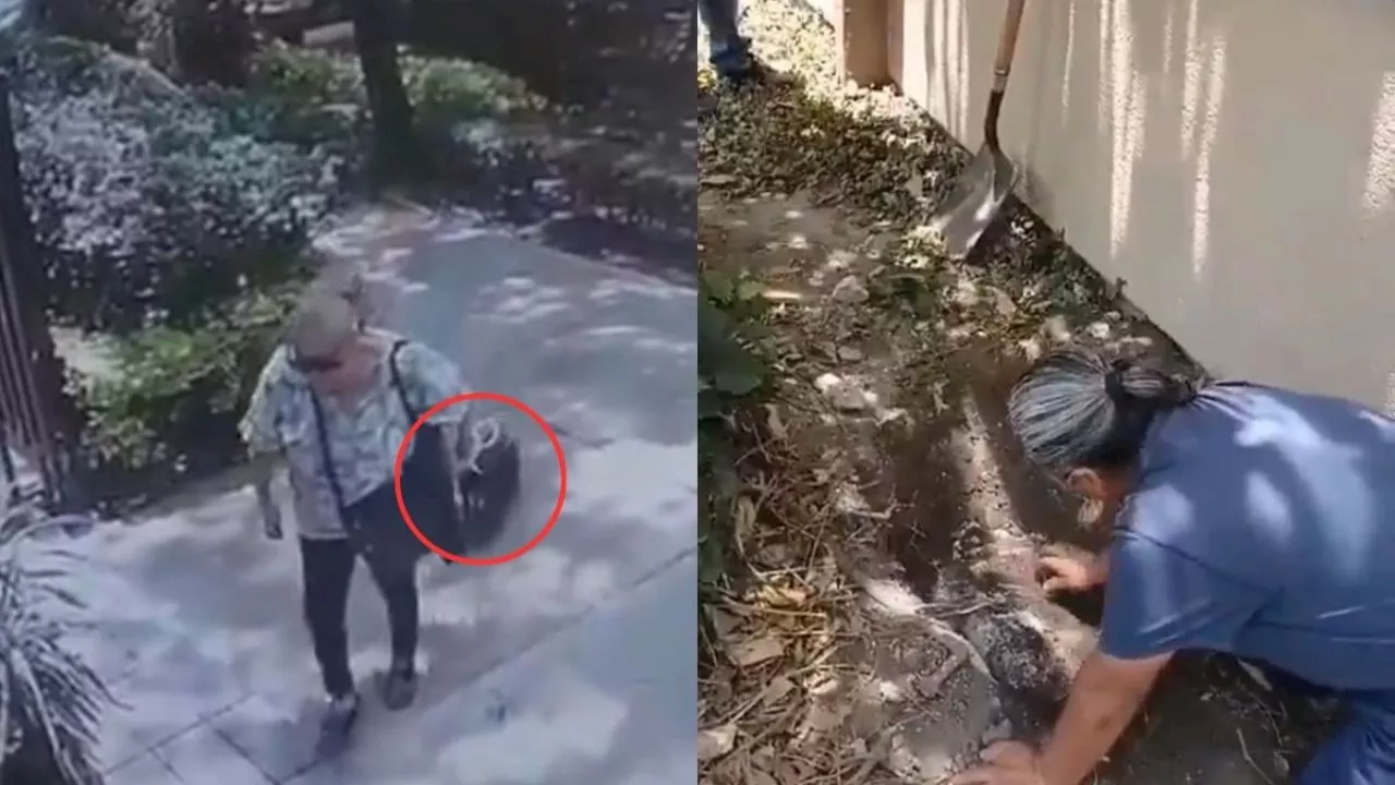 Video revela los últimos momentos de la perrita secuestrada en Coyoacán