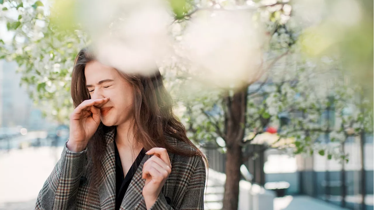 Asthme d’orage : ce qu’il faut savoir sur ce phénomène lié aux pollens dont le risque augmente ce jeudi