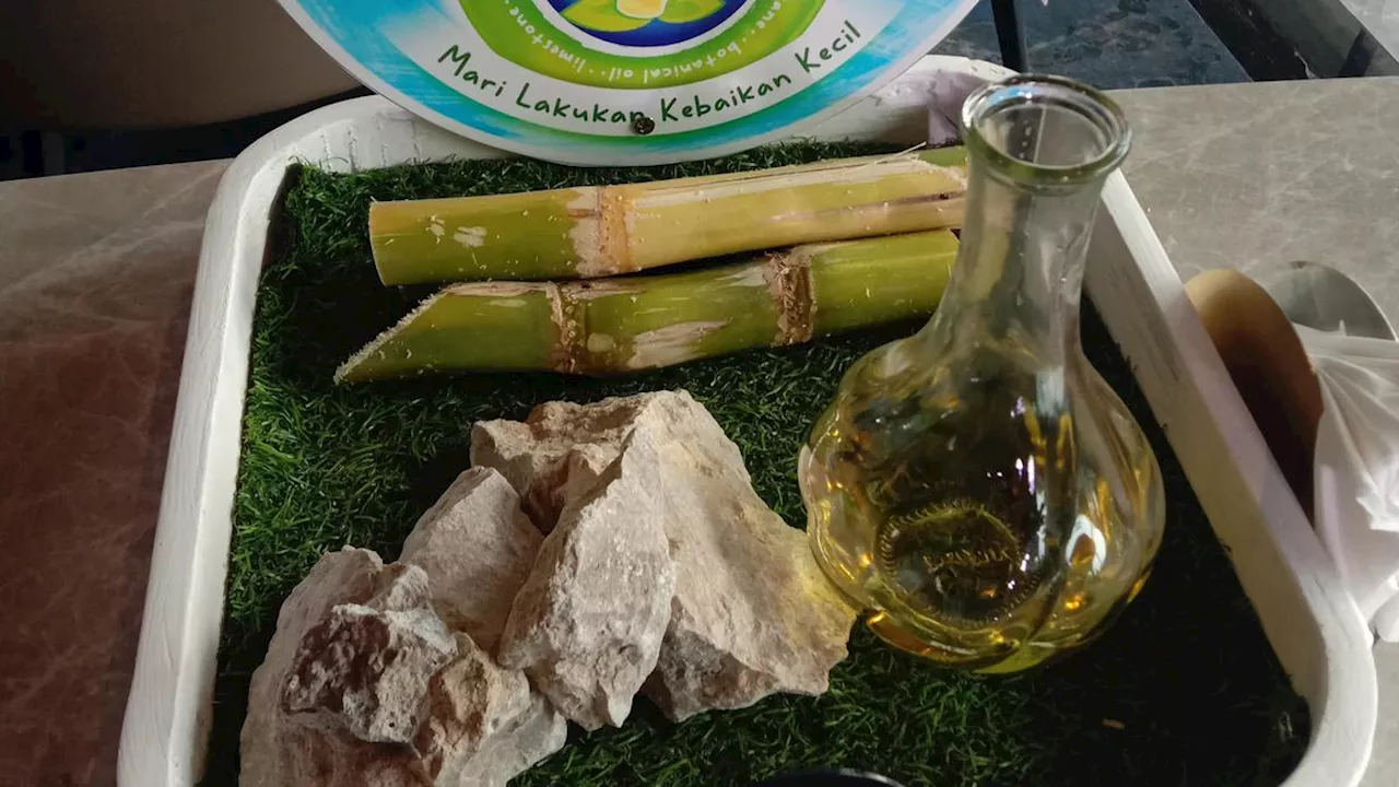 Hari Lingkungan Hidup Sedunia 2024, Inovasi Pembalut Berbahan Tebu untuk Kurangi Pemakaian Plastik Virgin