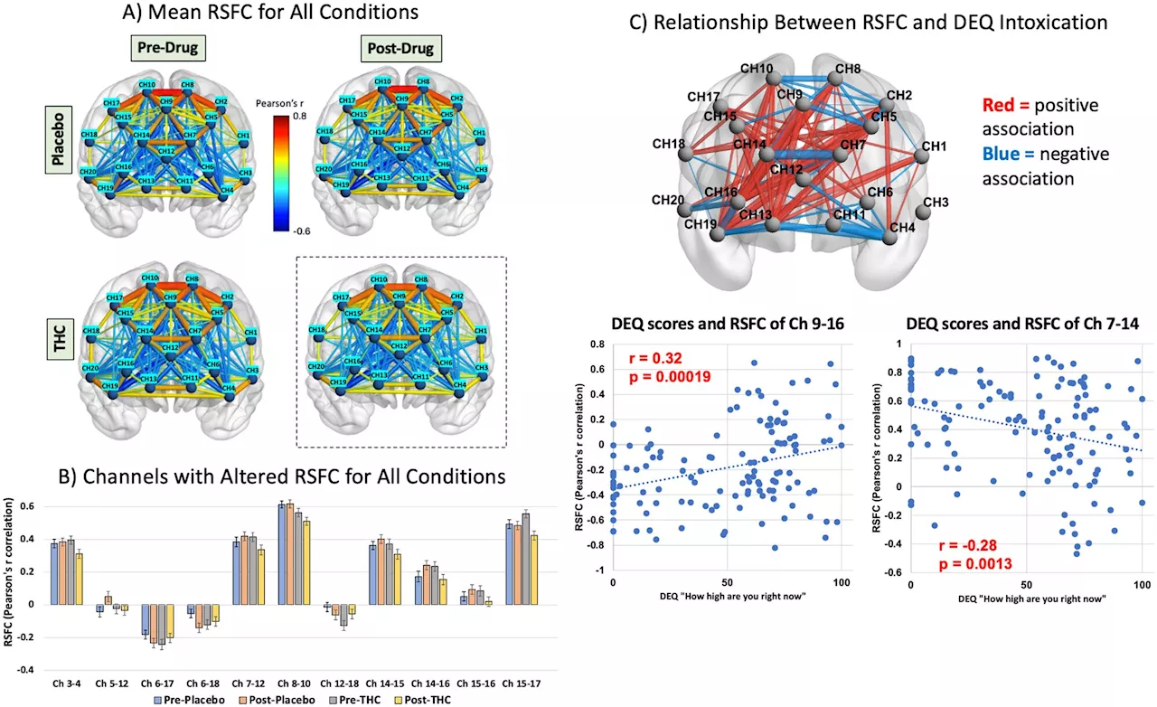 Brain imaging study shows how THC in cannabis disrupts brain activity and may cause cognitive impairment