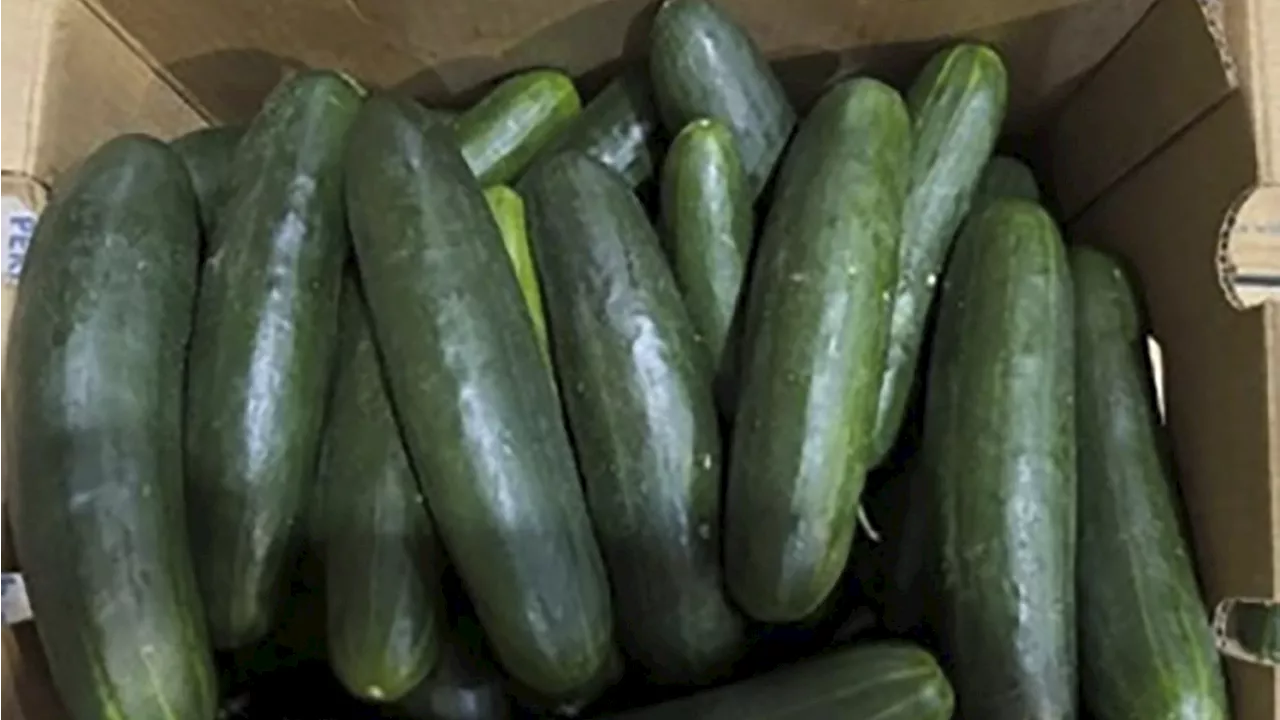 Salmonella outbreak may be linked to recalled cucumbers, CDC says