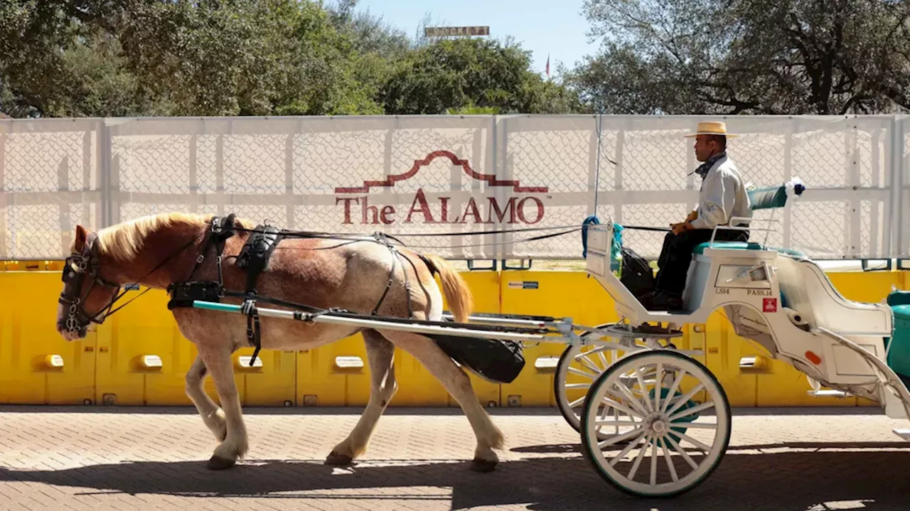 POLL: Do you think San Antonio should phase out Horse Drawn Carriages downtown?