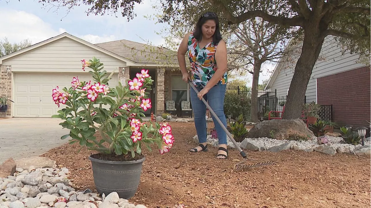 Xeriscaping grows in popularity as drought conditions persist