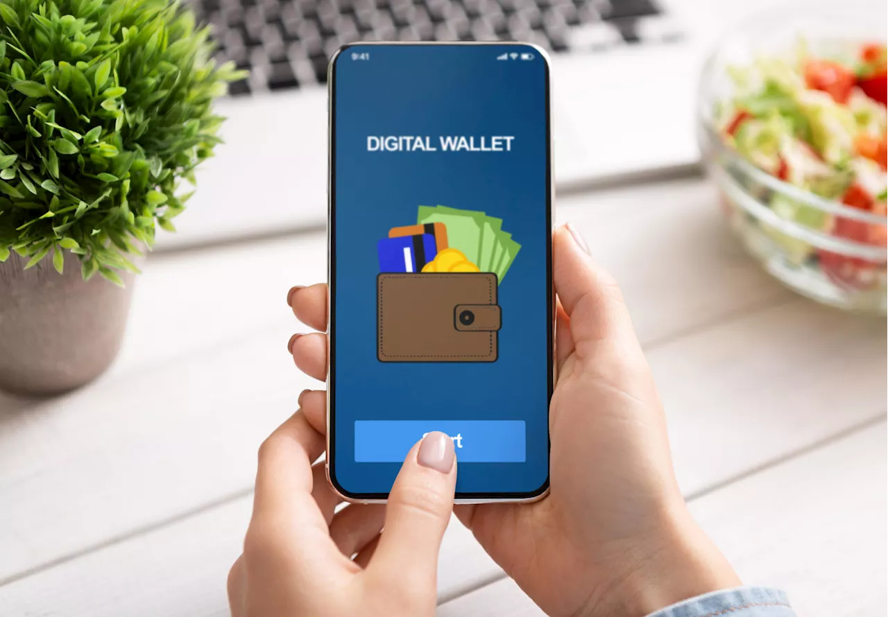 Digital wallet plans go before Cabinet: 'Your key information in one place’