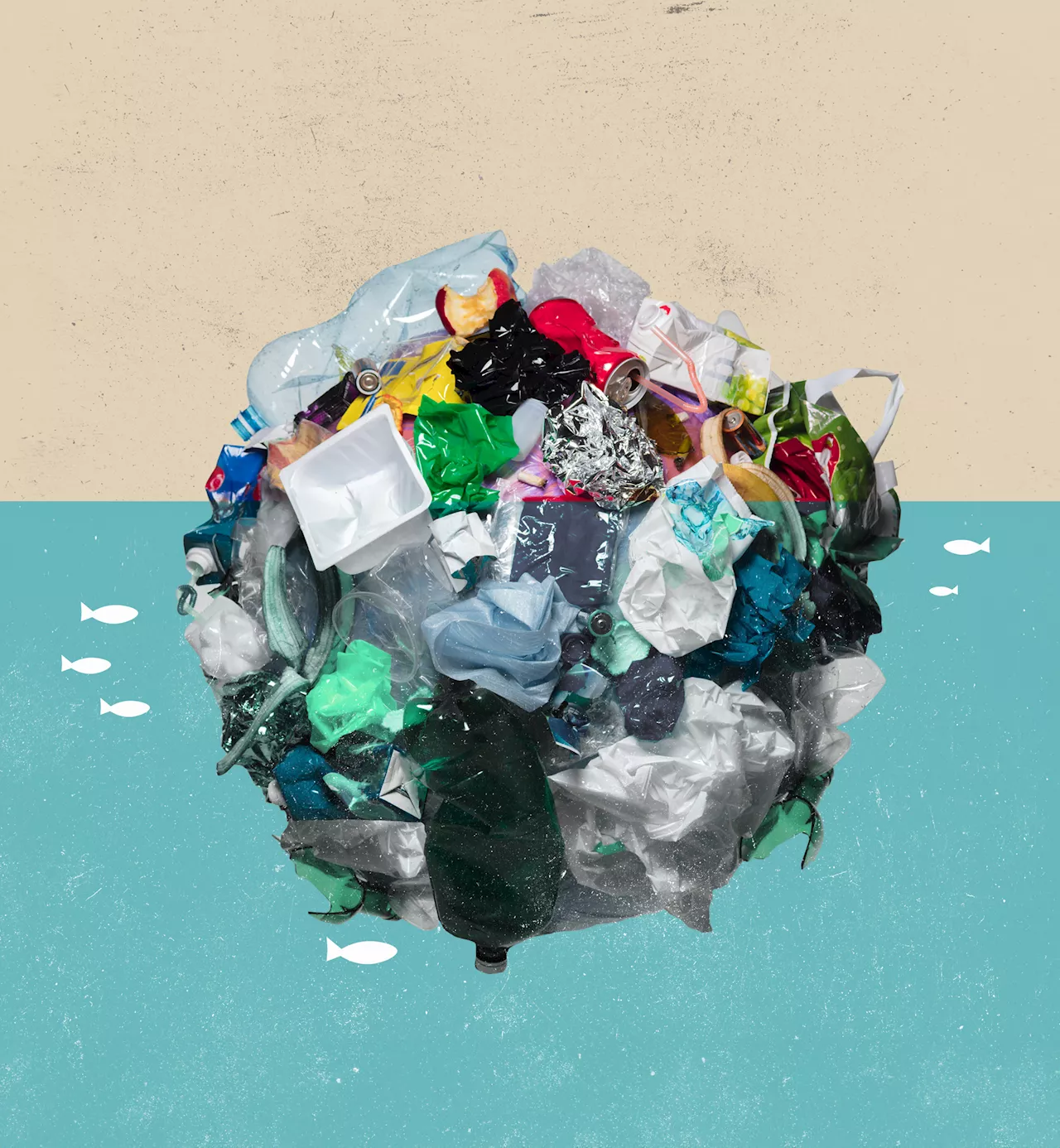 Experts Doubted Americans Would Pay for Sustainability—Were They Right?