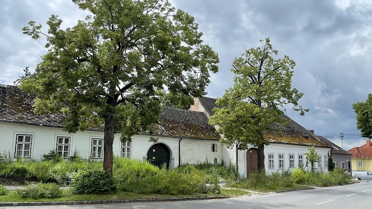 Auf Weinviertler Pfaden, wo die Zeit still zu stehen scheint