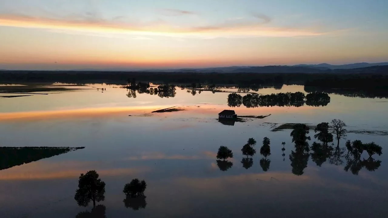 Donau sinkt, Wasser in der Au wird aber nur langsam weichen