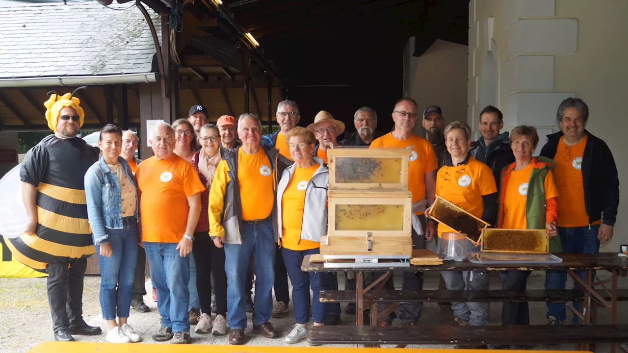 Gloggnitzer Imker ließen in den Bienenstock blicken