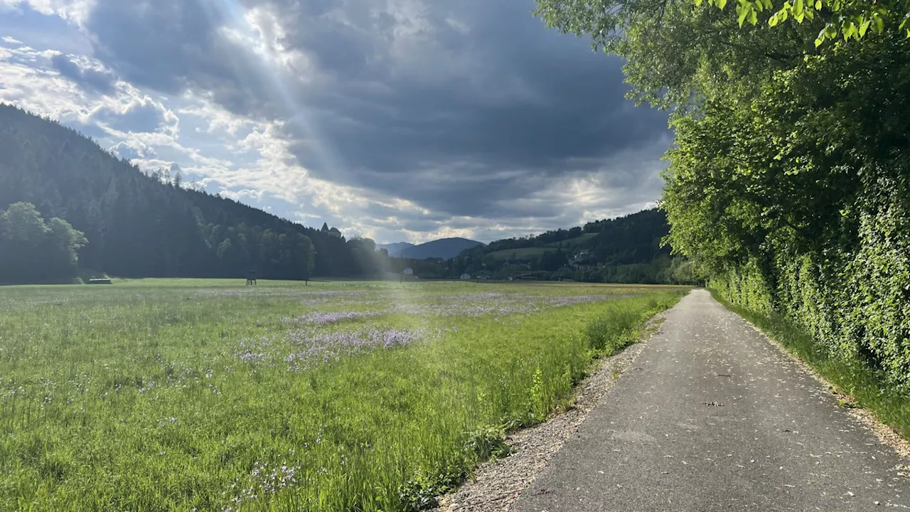 Radeln mit Aussicht auf dem Feistritztal-Radweg