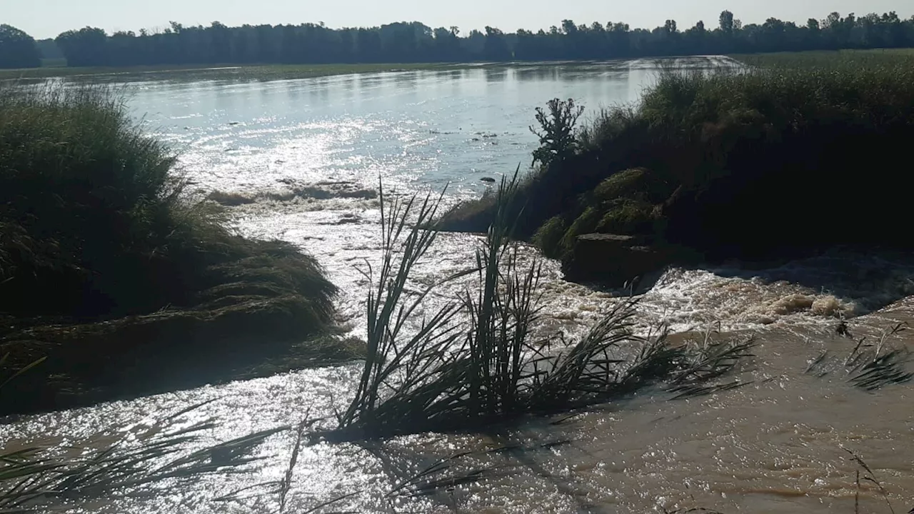 Rußbach-Damm brach: Überschwemmung in Deutsch-Wagram