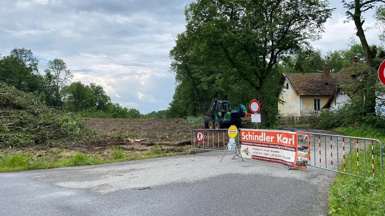 Straße nach Stürmen gesperrt: Aufräumarbeit rund um Allee läuft