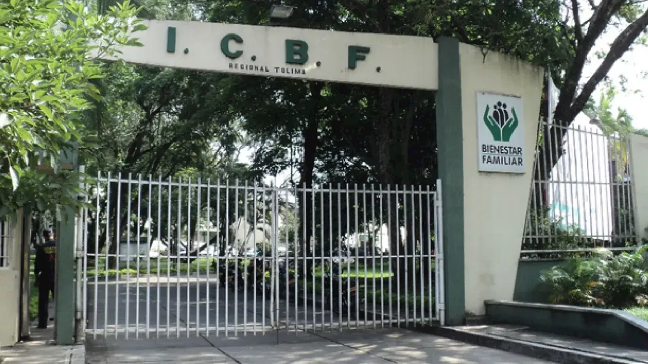 Exdefensora del ICBF de Ibagué fue condenada a prisión por omitir maltratos infantiles