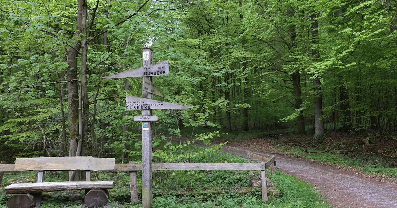 Bürgerentscheid zur Egge: Mehr als ein Drittel hat im Kreis Paderborn schon abgestimmt