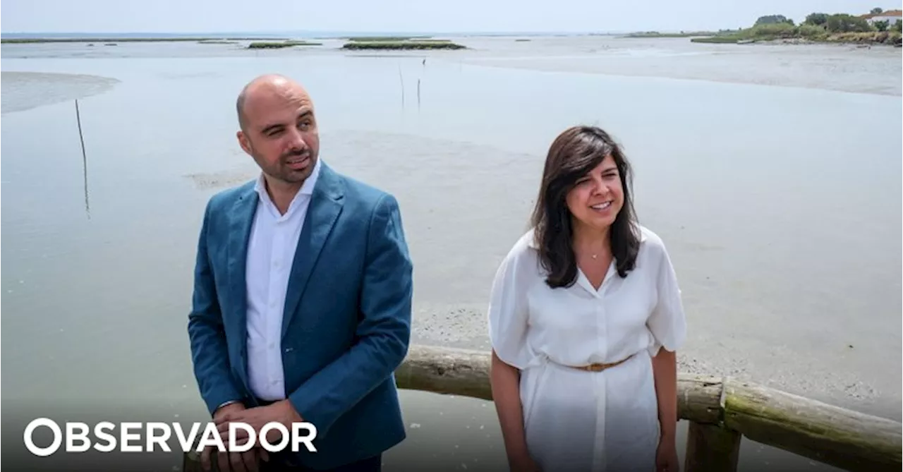 PAN diz que Lei do Restauro da Natureza deve ser prioridade dos eurodeputados portugueses