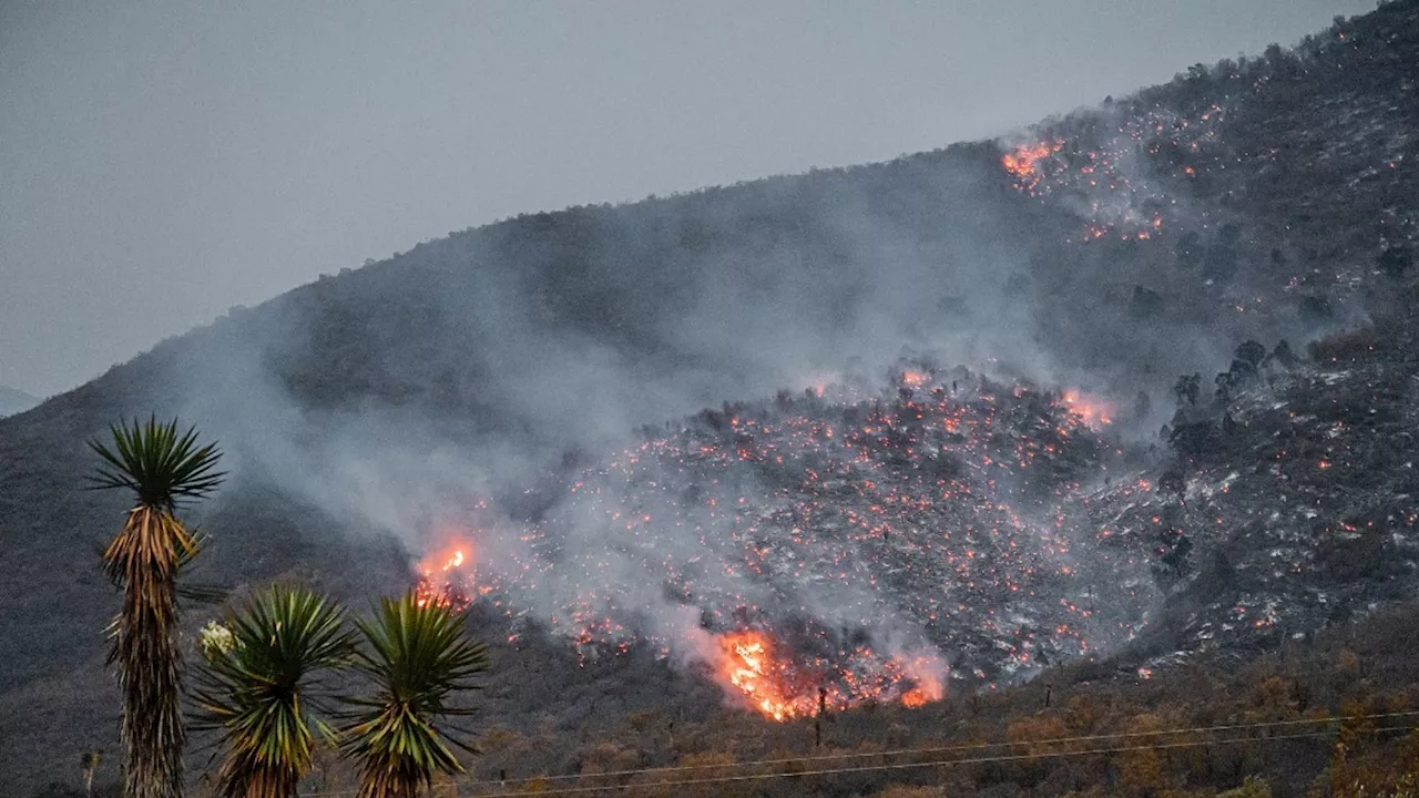 Fotos| Reportan grave incendio en Cerro de Bernal, Tamaulipas