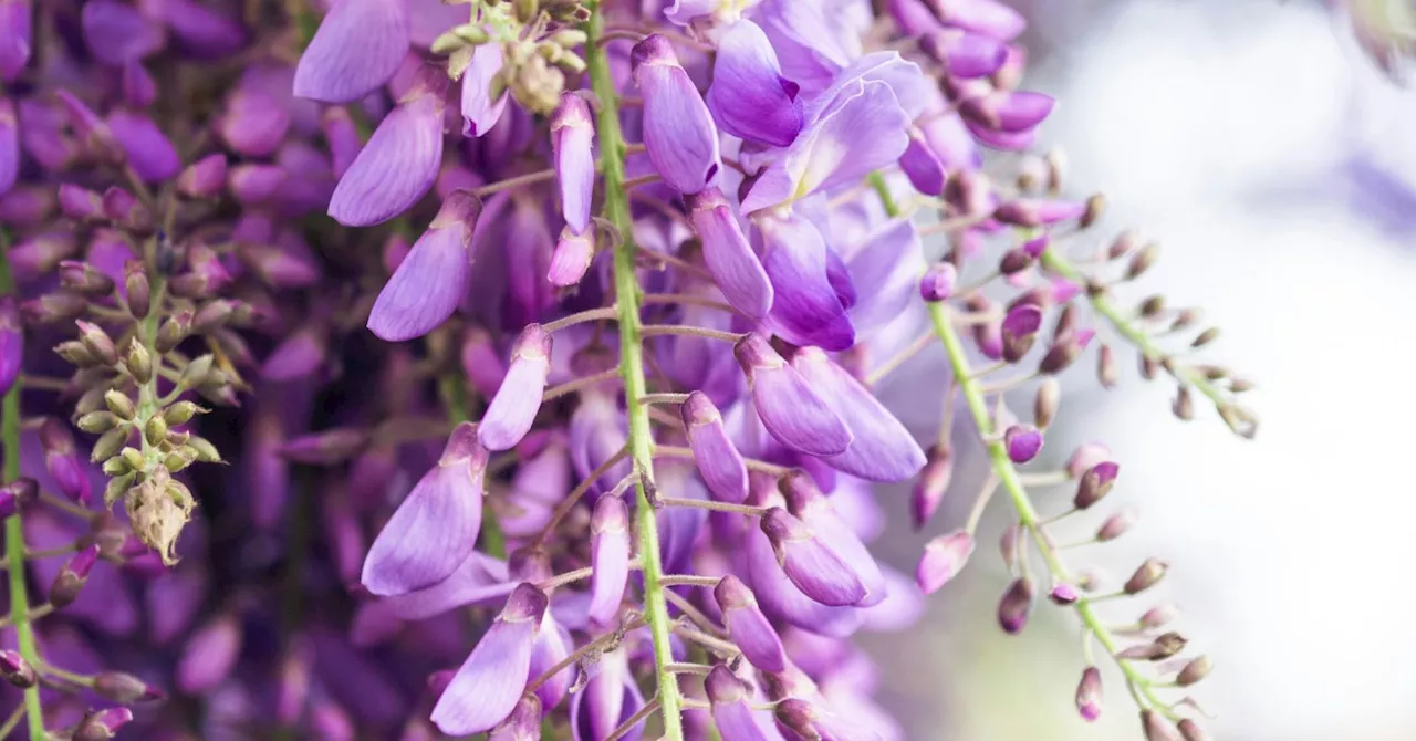 Getting your hands dirty can balance body and heart, and honor your loved one.