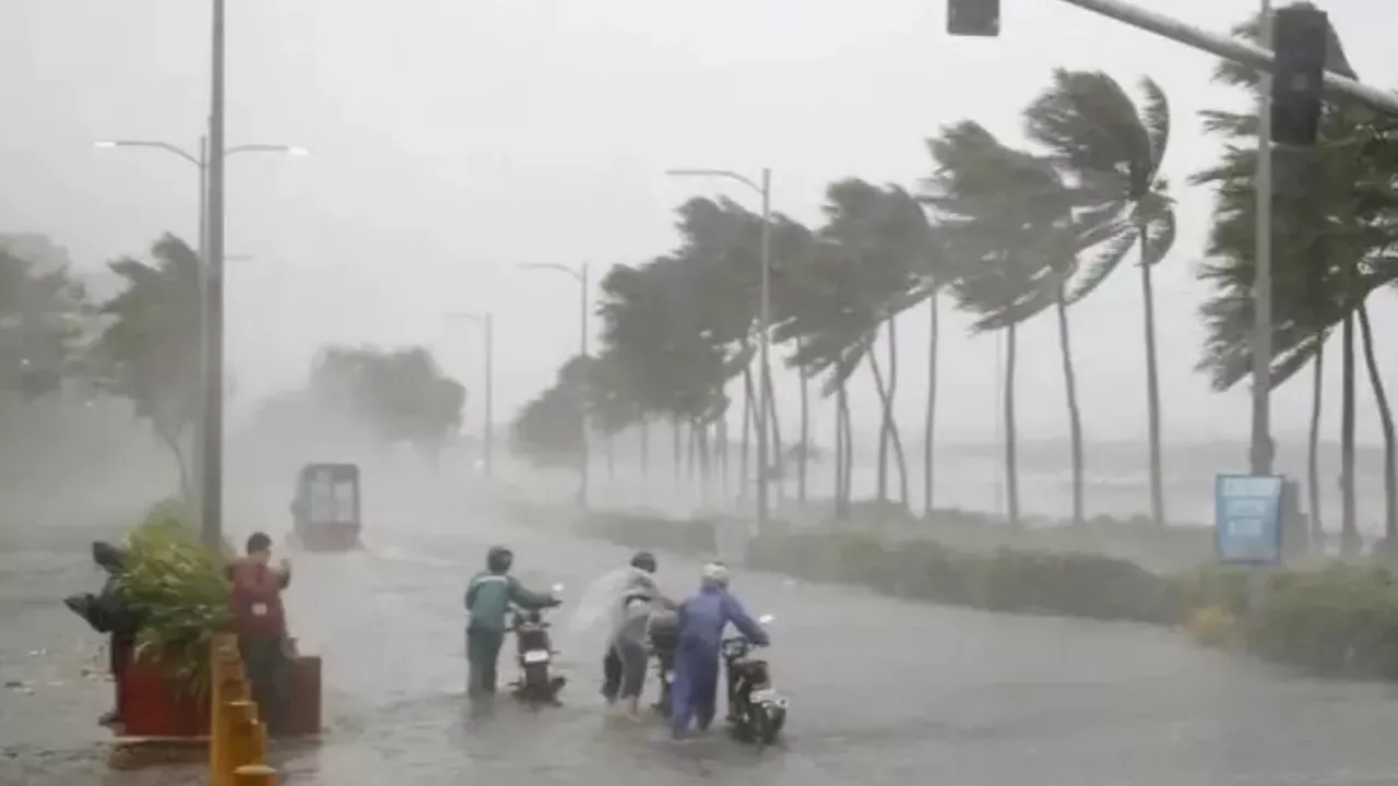 नए पश्चिमी विक्षोभ से अगले 72 घंटे में होगी बारिश, IMD ने कर दी मौसम की नई भविष्यवाणी