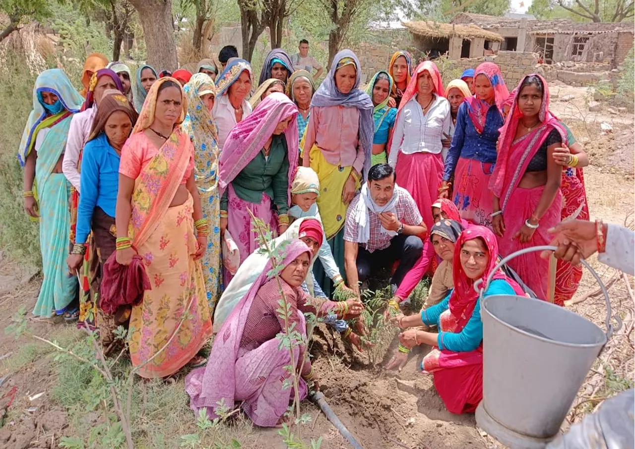 पर्यावरण दिवस पर महिलाओं ने किया पौधरोपण, हरियाली का दिया संदेश….पढ़ें यह न्यूज