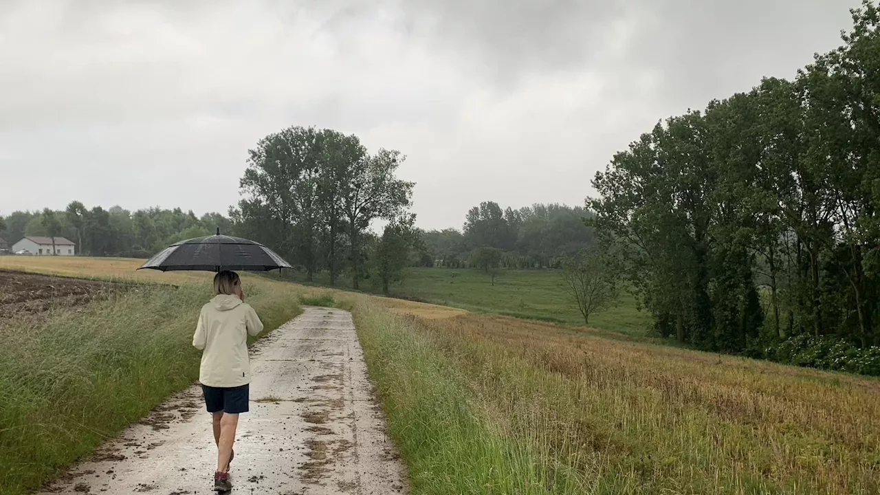 Météo en Belgique : nuages, éclaircies et averses rythmeront ce mercredi