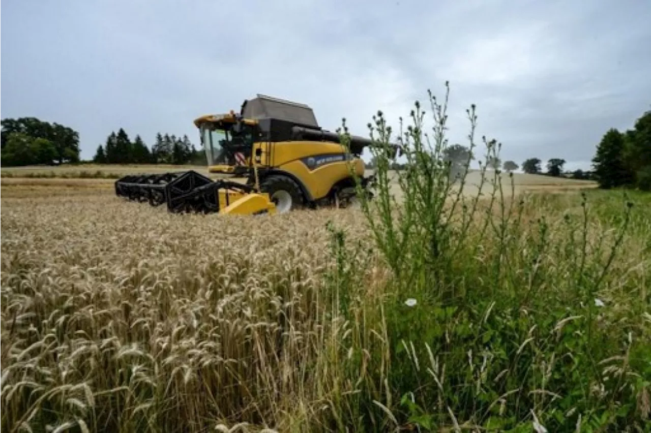 Trois ONG attaquent la Belgique en justice concernant des autorisations de pesticides