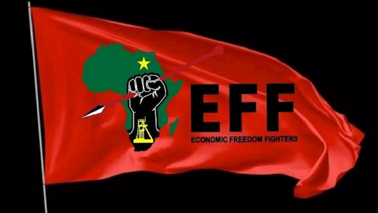 EFF's bid to challenge contempt of Parliament ruling back in court - SABC News