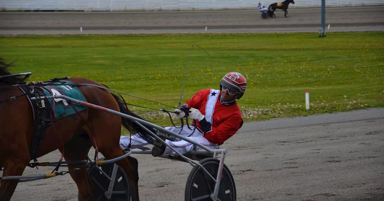 HARNESS RACING: Middleton Terror triples Dowling in Summerside
