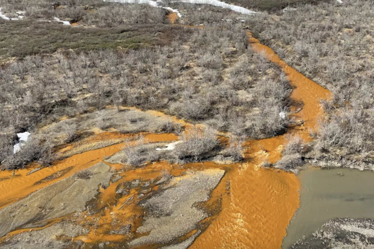 Alaska’s Arctic rivers turn rusty orange as permafrost thaws