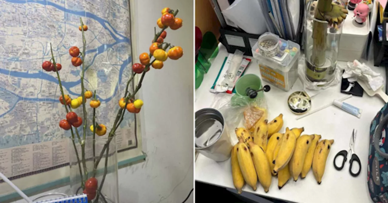 Workers In China Are Growing Fruits In Their Office To Fight Stress