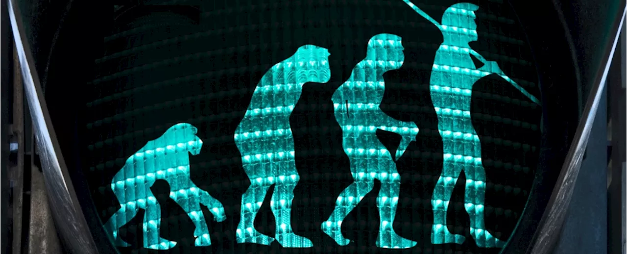 Evolutionary Mismatch Might Be Why We Struggle in Today's World