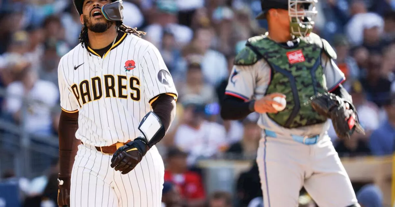 Luis Campusano works through slump in first season as Padres' primary catcher