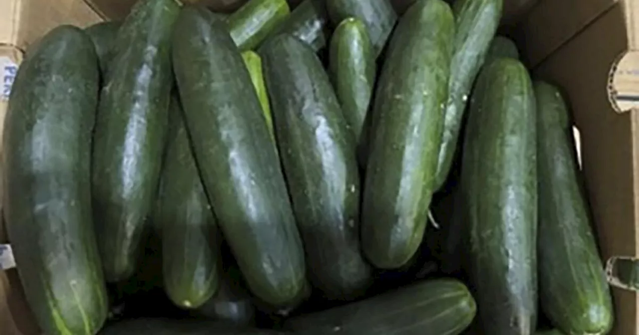 Salmonella outbreak may be linked to recalled cucumbers, CDC says