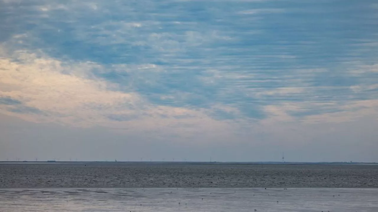 Deutsche Bucht so warm wie nie: Temperatur der Nordsee auf Rekordhoch