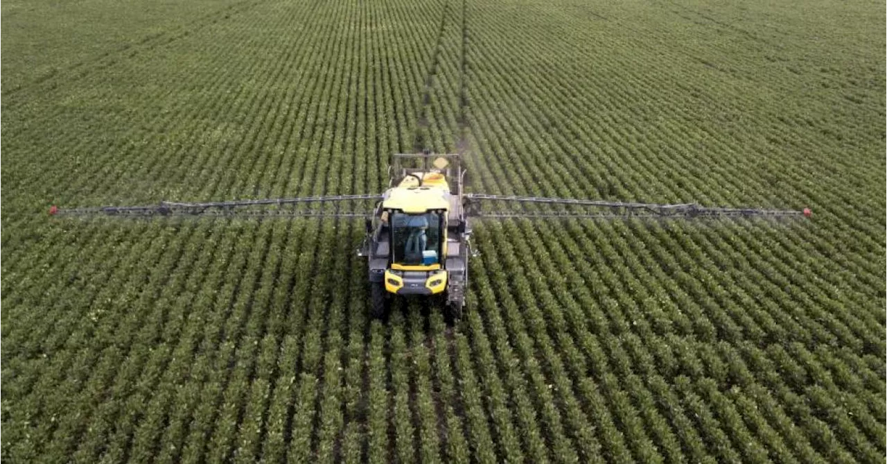 Trois ONG attaquent la Belgique en justice concernant des autorisations de pesticides