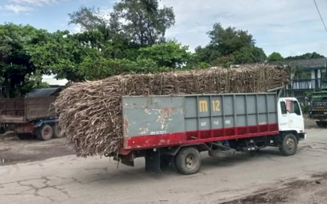 SRA orders sampling of canes, land due to Kanlaon eruption