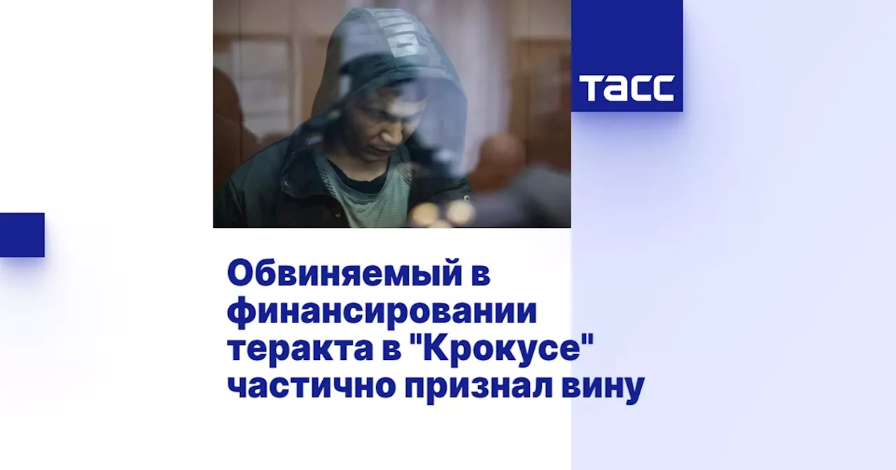 Обвиняемый в финансировании теракта в 'Крокусе' частично признал вину