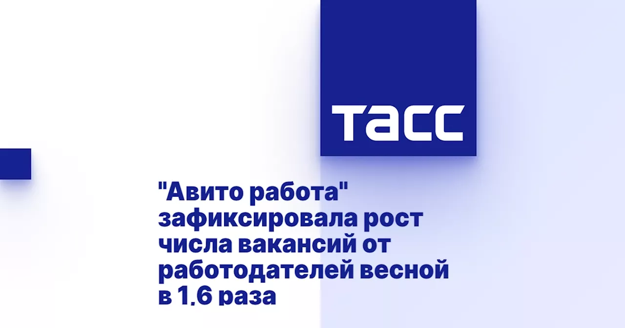 'Авито работа' зафиксировала рост числа вакансий от работодателей весной в 1,6 раза