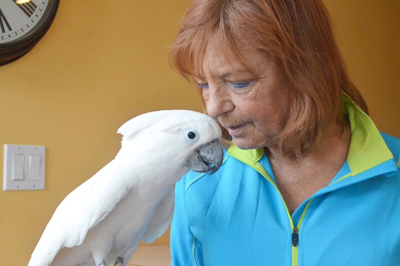 Housing hard to find for Langley senior and Elvis-loving cockatoo