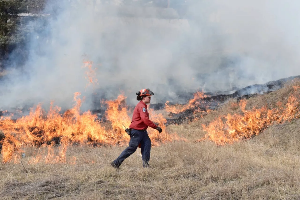 The healing power of fire, to survive future B.C. wildfires