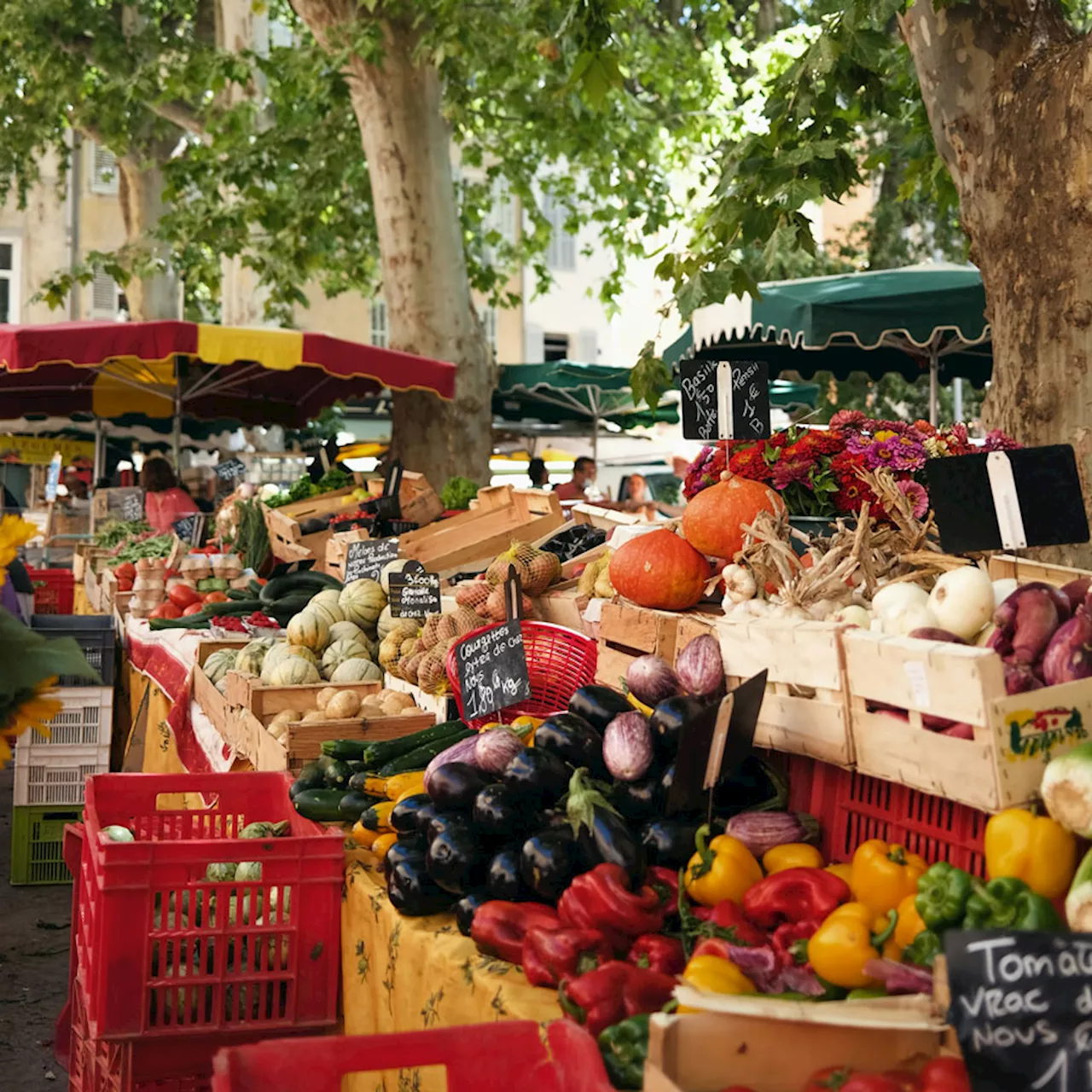 Not A Snail In Sight: How To Eat Your Way Around France