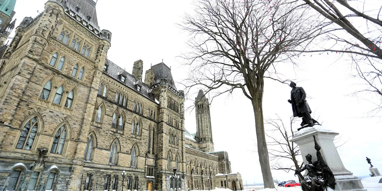 Clones of 100-year-old elm tree planted on eastern slope of Parliament Hill