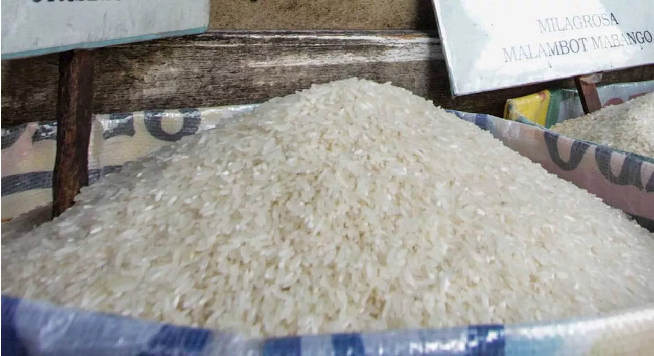 Rice price drop seen 'between P6-P7/kilo'