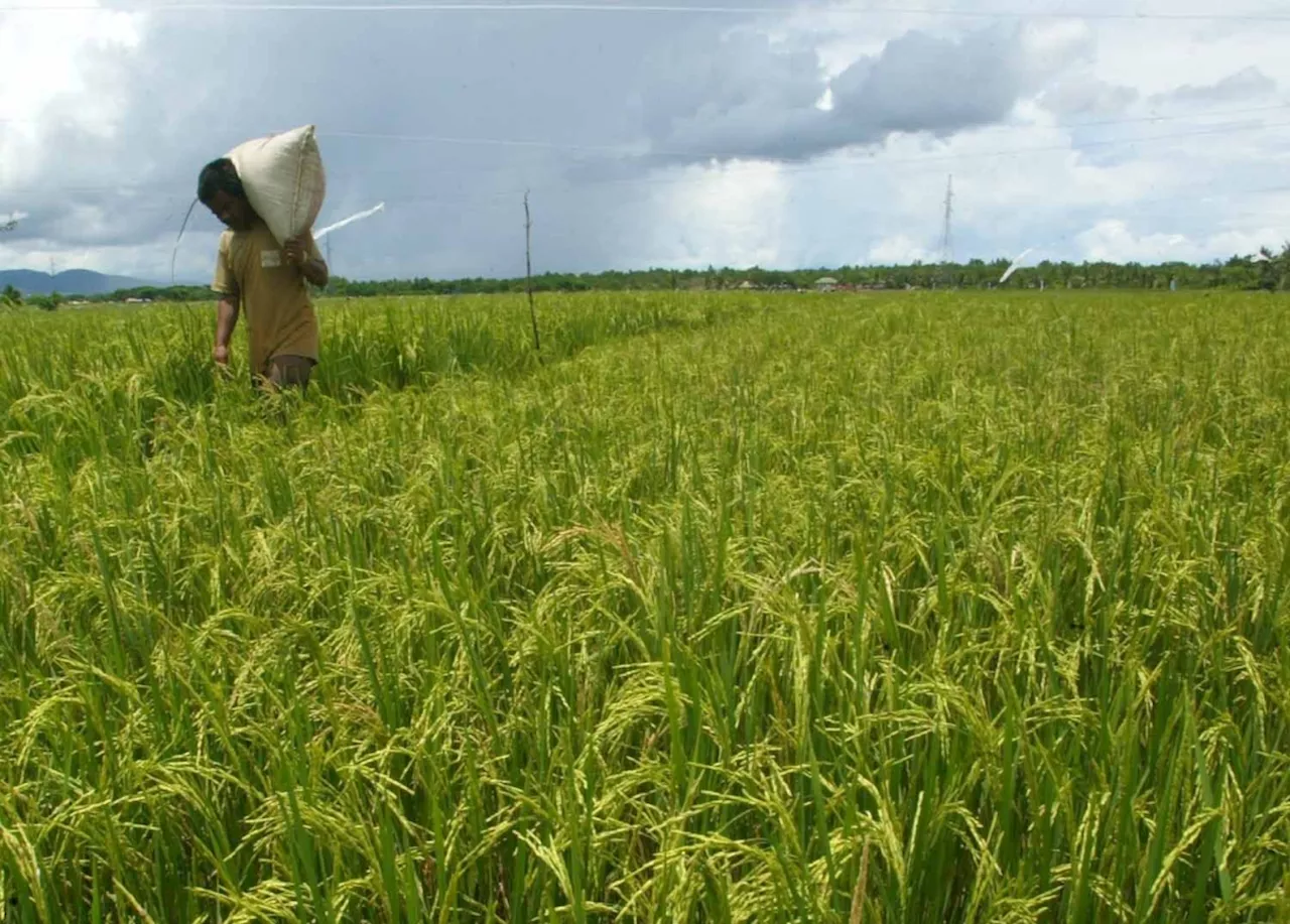 Tarlac agrarian beneficiaries trained on financial literacy