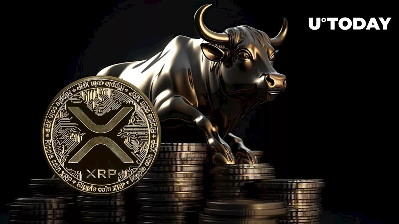 XRP Plots Bullish Rebound on 2.4 Billion Traded Tokens