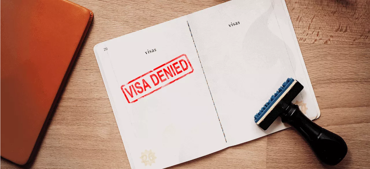 Japa: 5 reasons most visa applications are rejected