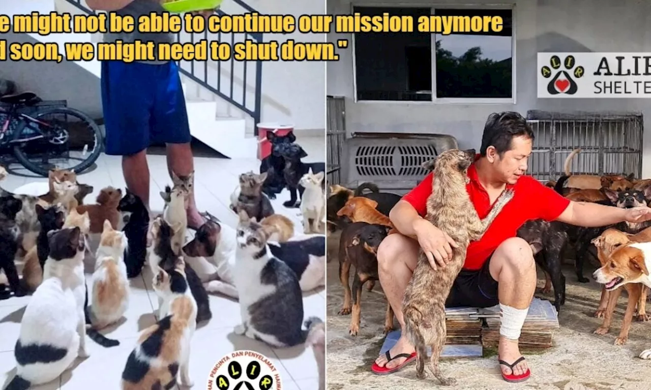 This Sabah Animal Rescue is On The Verge of Shutting Down, Here's How You Can Prevent That!