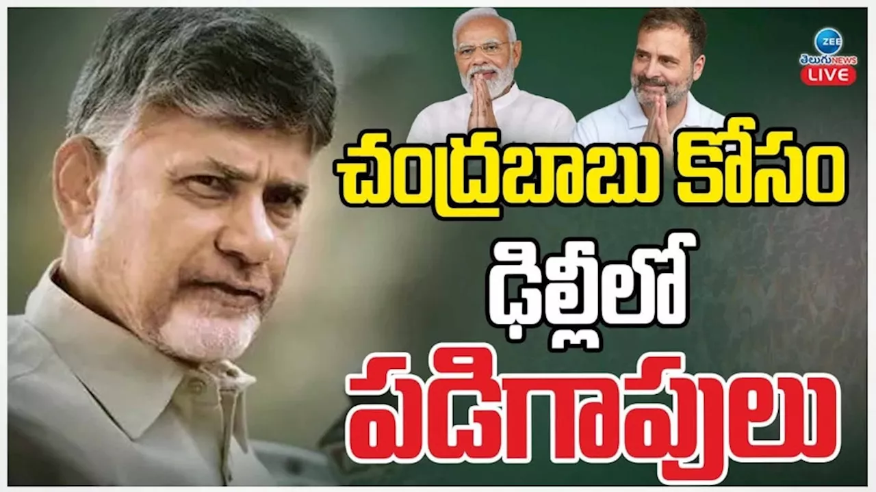 Chandrababu Naidu: చంద్రబాబు కోసం ఢిల్లీలో పడిగాపులు.. మళ్లీ చక్రం తిప్పనున్న టీడీపీ అధినేత..