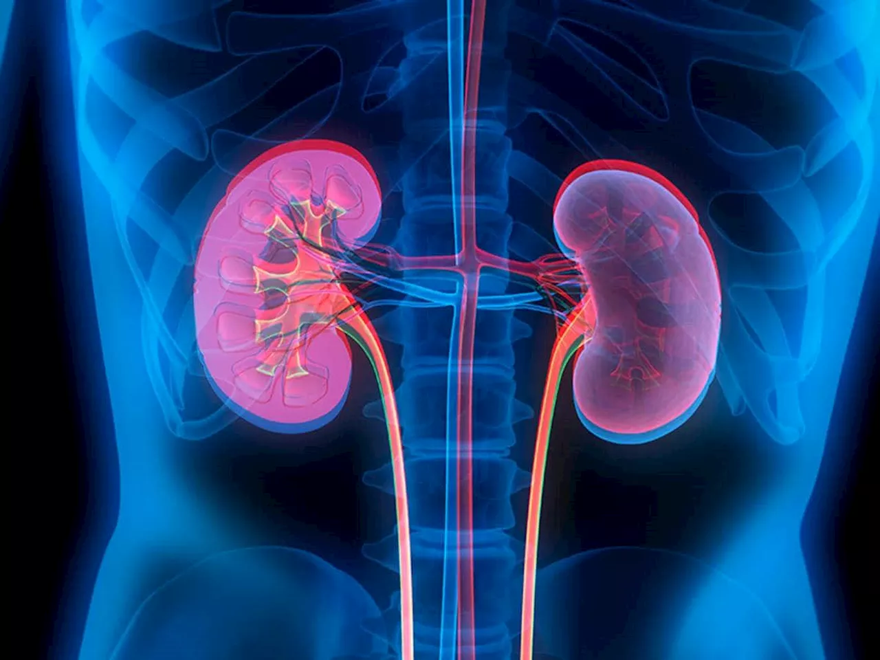 Kidney Problem: சிறுநீரக நோயை முன்கூட்டியே எச்சரிக்கும் அறிகுறிகள் இவை தான்!