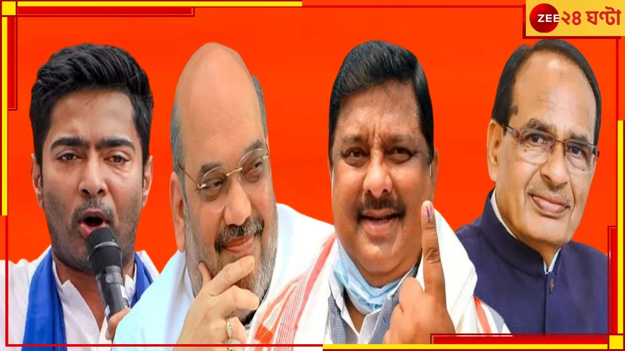 Lok Sabha Election 2024 Result: অমিত থেকে অভিষেক, জিতেছেন রেকর্ড ভোটে, রইল দেশের সেরা ১০