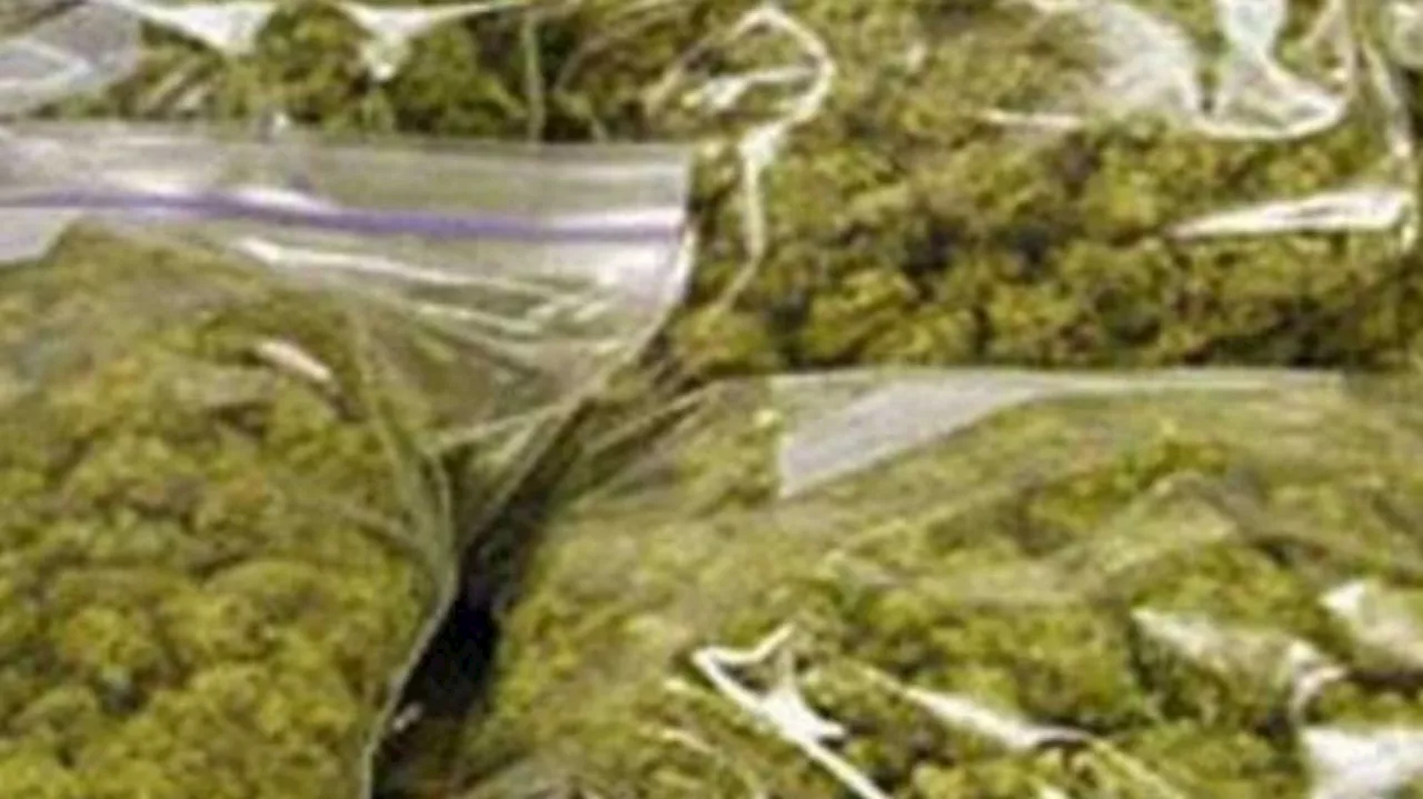 Marijuana Seized: പാലക്കാട് റെയിൽവേ സ്റ്റേഷനിൽ ഉപേക്ഷിച്ച നിലയിൽ ചാക്ക്; തുറന്നപ്പോൾ 19.4 കിലോ കഞ്ചാവ്, അന്വേഷണം ആരംഭിച്ച് എക്സൈസ്